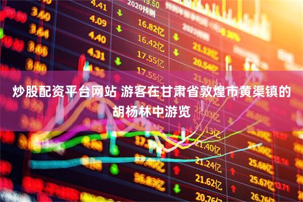 炒股配资平台网站 游客在甘肃省敦煌市黄渠镇的胡杨林中游览