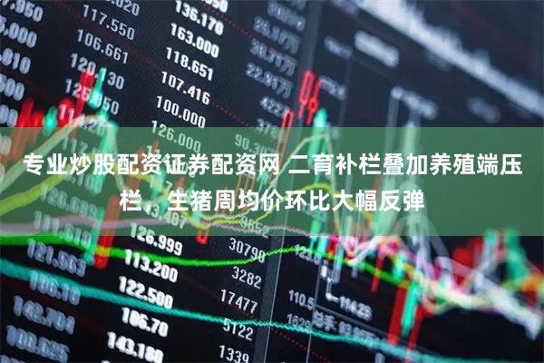 专业炒股配资证券配资网 二育补栏叠加养殖端压栏，生猪周均价环比大幅反弹